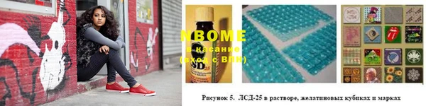 эйфоретик Баксан