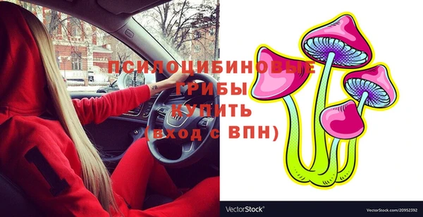 эйфоретик Баксан