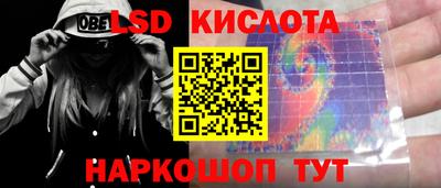 прущие грибы Кинель