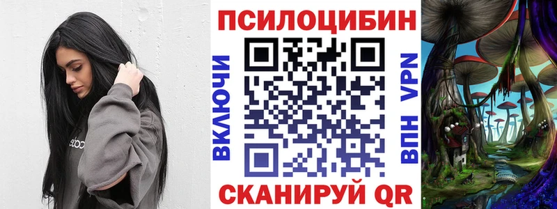 купить   Корсаков  Псилоцибиновые грибы Cubensis 