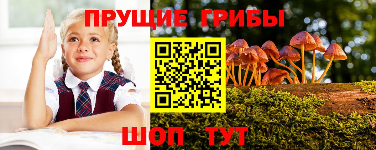 Галлюциногенные грибы Magic Shrooms  Псилоцибиновые грибы Psilocybe  Корсаков  Вход с VPN 
