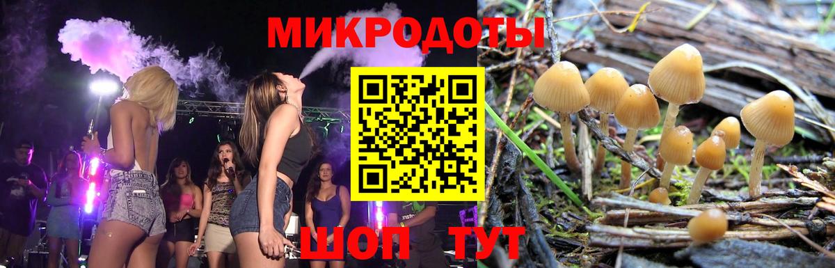 Псилоцибиновые грибы Psilocybine cubensis Корсаков